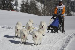 Kandersteg 2013